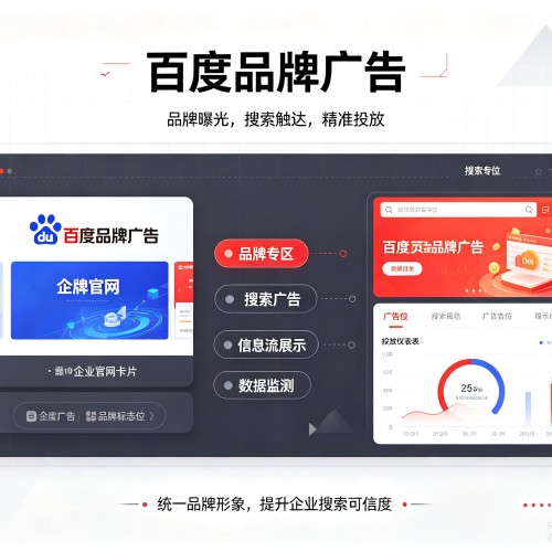 娄星百度品牌广告